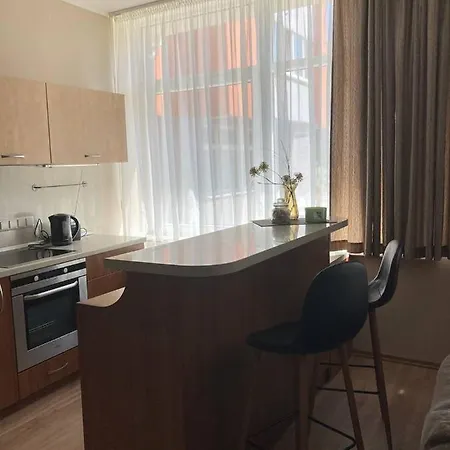 アパート Spacious Apartment With Self Check-In クライペダ
